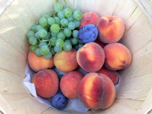U-pick Fruit
